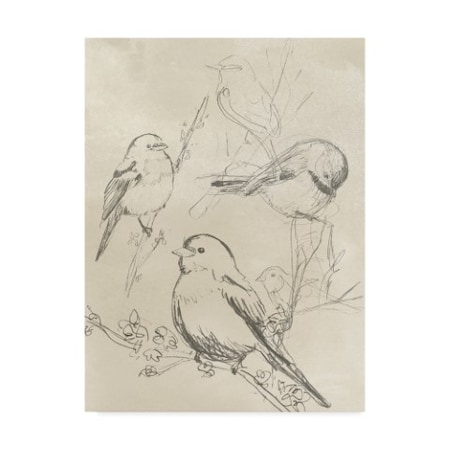 June Erica Vess 'Vintage Songbird Sketch Ii' Canvas Art,14x19